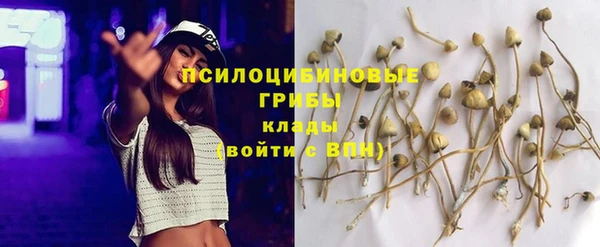 Альфа ПВП Верхний Тагил