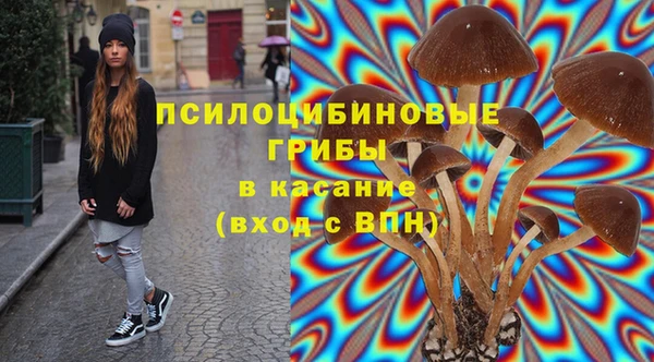 дурь Бронницы